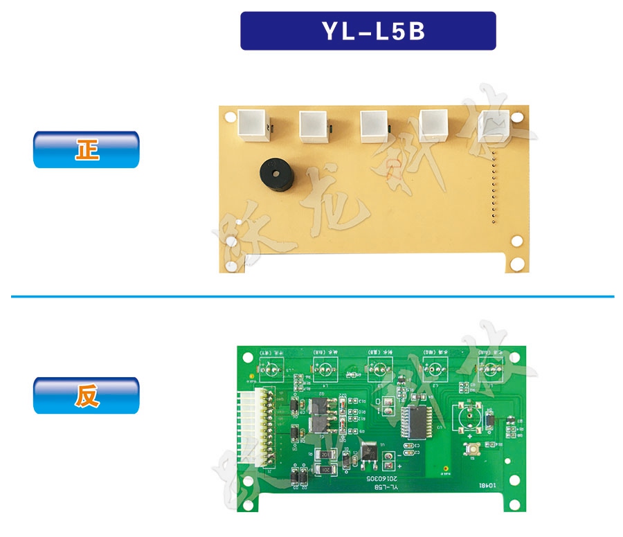 YL-L5B